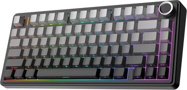 EPOMAKER x AULA F75 Gasket Mechanical Keyboard 75% Wireless Hot Swappable Gaming Keyboard with Five-Layer Padding&amp;Knob Bluetooth 2.4GHz USB-C RGB (Black Gradient LEOBOG Reaper Switch)