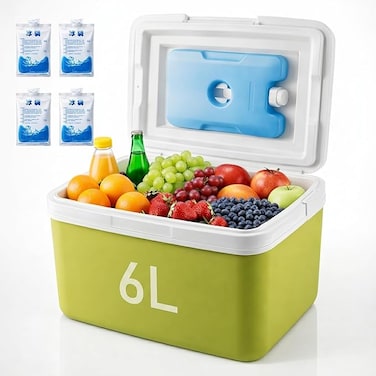 Auto Family 6L Insulated Cooler Box with Ice Packs &ndash; Portable Ice Chest for Camping, Picnic &amp; Outdoor Travel, Leakproof Food &amp; Beverage Storage Cooler
