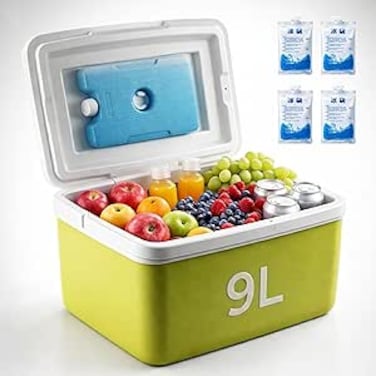 Auto Family 9L Insulated Cooler Box with Ice Packs &ndash; Portable Ice Chest for Camping, Picnic &amp; Outdoor Travel, Leakproof Food &amp; Beverage Storage Cooler
