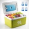 Auto Family 9L Insulated Cooler Box with Ice Packs &ndash; Portable Ice Chest for Camping, Picnic &amp; Outdoor Travel, Leakproof Food &amp; Beverage Storage Cooler