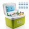 Auto Family 15L Insulated Cooler Box with Ice Packs &ndash; Portable Ice Chest for Camping, Picnic &amp; Outdoor Travel, Leakproof Food &amp; Beverage Storage Cooler