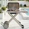 Auto Family Portable BBQ Grill with Foldable Stand &amp; Wheels, Stainless Steel Charcoal Grill, Compact Outdoor Barbecue Cooker for Camping, Picnic, Travel &amp; Garden Cooking (Green)