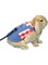 AQOTER Rabbit Harness and Leash Set, Fashion Casual Breathable Denim Strap with 1.25m Comfortable Leather Leash for Small Animal Outdoor Play Walking (Plaid Red, Large)