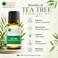 Bliss of Earth Tea Tree Essential Oil 10ml - for Acne Treatment &amp; Scalp Care, Diffuser, Cleansing Aroma
