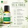 Bliss of Earth Tea Tree Essential Oil 10ml - for Acne Treatment &amp; Scalp Care, Diffuser, Cleansing Aroma