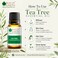 Bliss of Earth Tea Tree Essential Oil 10ml - for Acne Treatment &amp; Scalp Care, Diffuser, Cleansing Aroma