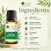 Bliss of Earth Tea Tree Essential Oil 10ml - for Acne Treatment &amp; Scalp Care, Diffuser, Cleansing Aroma