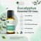 Bliss of Earth Eucalyptus Essential Oil for Home Diffuser, 10ml - Fresh Focus Aroma &amp; Massage Blend Oil