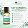 Bliss of Earth Eucalyptus Essential Oil for Home Diffuser, 10ml - Fresh Focus Aroma &amp; Massage Blend Oil