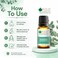Bliss of Earth Eucalyptus Essential Oil for Home Diffuser, 10ml - Fresh Focus Aroma &amp; Massage Blend Oil