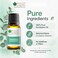 Bliss of Earth Eucalyptus Essential Oil for Home Diffuser, 10ml - Fresh Focus Aroma &amp; Massage Blend Oil