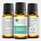 Bliss of Earth Eucalyptus Essential Oil for Home Diffuser, 10ml - Fresh Focus Aroma &amp; Massage Blend Oil