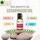 Bliss of Earth Cedarwood Essential Oil, Woody Aroma - 10ml, Diffuser Aromatherapy, Hair &amp; Skin Oil