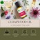 Bliss of Earth Cedarwood Essential Oil, Woody Aroma - 10ml, Diffuser Aromatherapy, Hair &amp; Skin Oil