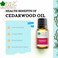 Bliss of Earth Cedarwood Essential Oil, Woody Aroma - 10ml, Diffuser Aromatherapy, Hair &amp; Skin Oil
