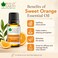 Bliss of Earth Orange Essential Oil, Citrus Aroma - 10ml, Diffuser Aromatherapy, Skin &amp; Hair Oil