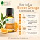 Bliss of Earth Orange Essential Oil, Citrus Aroma - 10ml, Diffuser Aromatherapy, Skin &amp; Hair Oil