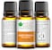 Bliss of Earth Orange Essential Oil, Citrus Aroma - 10ml, Diffuser Aromatherapy, Skin &amp; Hair Oil