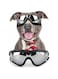 NAMSAN Dog Goggles Medium to Large Dog UV Sunglasses Windproof Anti-Dust Snowproof Pet Glasses with Elastic Straps, Black