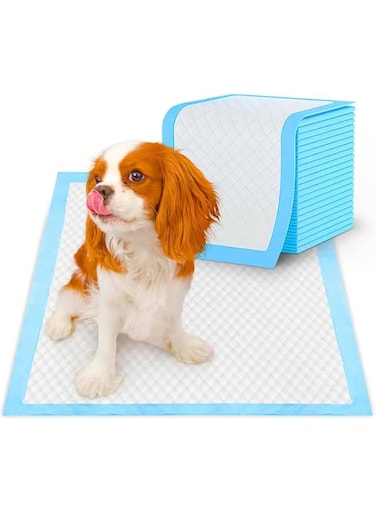 Premium Puppy Pads for Dogs   60 x 60 cm Disposable Pee Pads   Ultra Absorbent Changing Mat for Baby &amp; Pets   Incontinence Bed Mats   Waterproof Baby Changing Pad   20-Pack (20, 60 x 60 cm)