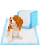 Premium Puppy Pads for Dogs   60 x 60 cm Disposable Pee Pads   Ultra Absorbent Changing Mat for Baby &amp; Pets   Incontinence Bed Mats   Waterproof Baby Changing Pad   20-Pack (20, 60 x 60 cm)