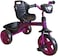 Lovely Baby Kids/Children Smart Design Tricycle LB 3390 with LED Lights, Music, and Rear Basket - Purple