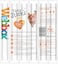 Webbox Tasty Cat Sticks Chicken &amp; Liver 30g