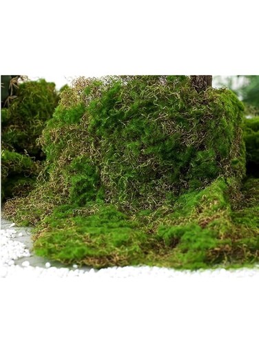 YRJ Artificial Moss, Artificial moss for potted plants; Fake Moss for Home Garden/Patio/Terrariums/Bonsai/Any Other Micro Landscape Decoration, 1 Pcs