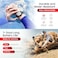 Swiss Military DOM6 Smartwatch 1.43" AMOLED, Bluetooth Calling, Multi Language, Health &amp; Sports Tracking, Wireless Charging, 7 Days Battery, IP67, iOS/Android Compatible,Gun Metal Frame &amp; Strap
