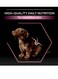 Purina Pro Plan Small And Mini Puppy Salmon - 3kg