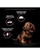 Purina Pro Plan Small And Mini Puppy Salmon - 3kg