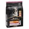 Purina Pro Plan Sensitive Skin Medium and Large Senior 7+, Dry Dog food with Salmon, 3 kg