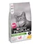 Purina Pro Plan Sterilised Chicken Cat Dry Food 10Kg