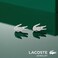 Lacoste Women's Silver Stud Earrings - 2040050