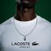 Lacoste Men's Silver Chain Necklaces - 2040228
