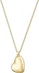 Hugo Boss Women's Gold Pendant with chain - 1580574