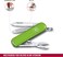 Victorinox Swiss Army Knife, Fresh. Stylish. Colorful Swiss Classics, 7 Function, Multi-Utility Tool With A Pair Of Scissors, Smashed Avocado, 58 mm, Green, M
