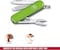 Victorinox Swiss Army Knife, Fresh. Stylish. Colorful Swiss Classics, 7 Function, Multi-Utility Tool With A Pair Of Scissors, Smashed Avocado, 58 mm, Green, M