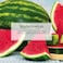 LITTLE TREES Car Air Freshener I Hanging Tree Provides Long Lasting Scent for Auto or Home I Watermelon, 6-Packs (4 Count)