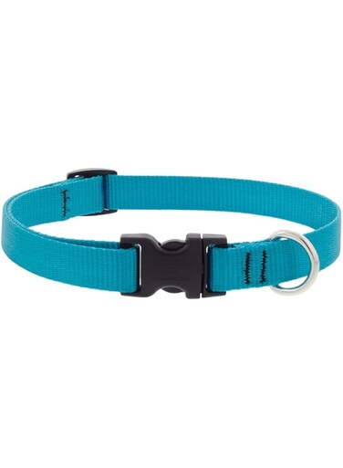 Lupine Basics 3/4 in Aqua Adj. Collar 13&quot;-22&quot;, 34-55cm
