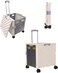 Folding Rolling Utility Cart with Wheels, Noiseless &amp; Wear-Resistant Shopping Trolley, Telescopic Handle for Office, Travel, Picnic, Grocery (Beige)