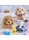 Interactive Electronic Dog &ndash; Walking, Barking &amp; Tail Wagging Plush Puppy Toy for Kids, Husky Style with Dog Cage &amp; Call Function &ndash; Perfect Birthday &amp; Holiday Gift