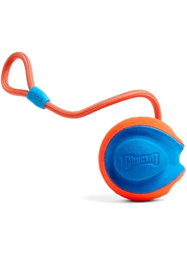 Chuckit! Rope Fetch Dog Toy