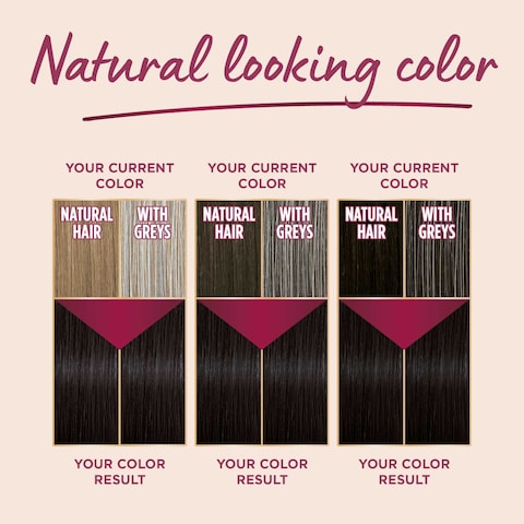 Palette Intensive Color Creme 6-0 Dark Blonde