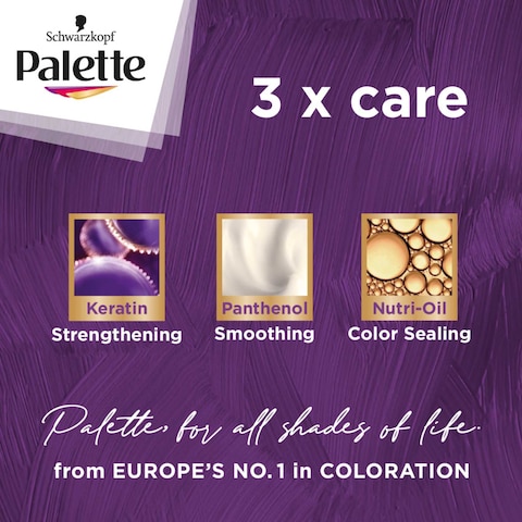 Palette Intensive Color Creme 6-0 Dark Blonde