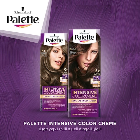 Palette Intensive Color Creme 6-0 Dark Blonde