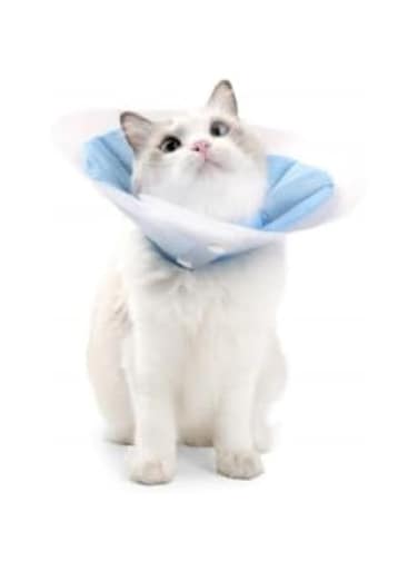 Soft Pet Recovery Collars for Dogs &amp; Cats, Protective Cone Collar for Dogs &amp; Cat, PVC Cat Recovery Cone with Soft Pillow, Surgery Recovery Cone for Small Pets (Blue, Medium)