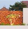 Artificial Expandable Garden Maple Leaf Fence and Decorative Fence 1.2m