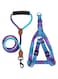 2pcs Ombre Colorblock Adjustable Dog Harness Leash Set for Puppy Cat Small Medium Dogs Outdoor Training Running (Blue and Purple, S)