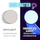 Mehron Paradise FX UV Neon Glow &ndash; Dark Matter &ndash; Neon Clear/Blue UV 0.25 Oz, Pro Water-Activated Shimmer Paint For Raves, Costumes, SFX, Halloween, Stage, Screen, Theater &amp; Cosplay